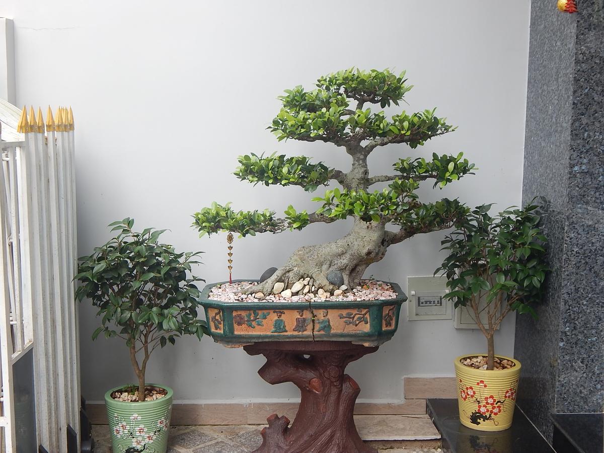 Dalat View Homestay Esterno foto